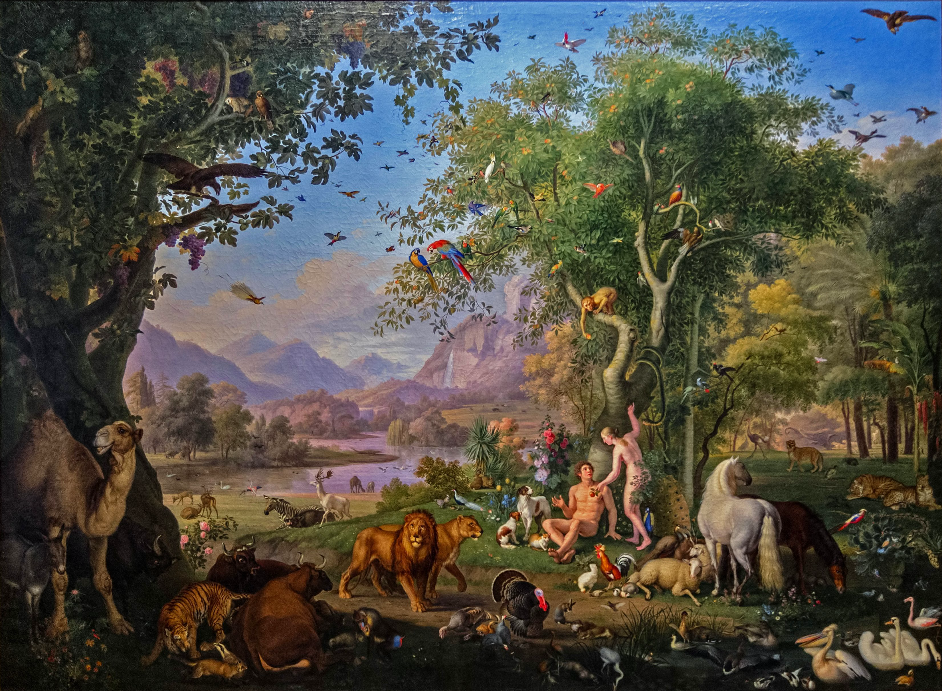 11 Observations About Creation From Genesis 1–2